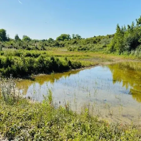 Karthuizer B Located Between The Dunes