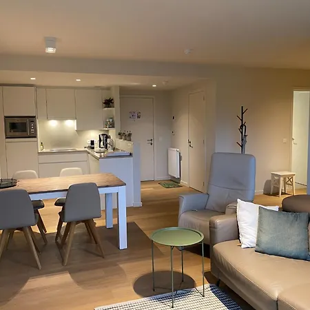 Apartment Karthuizer B Located Between The Dunes *