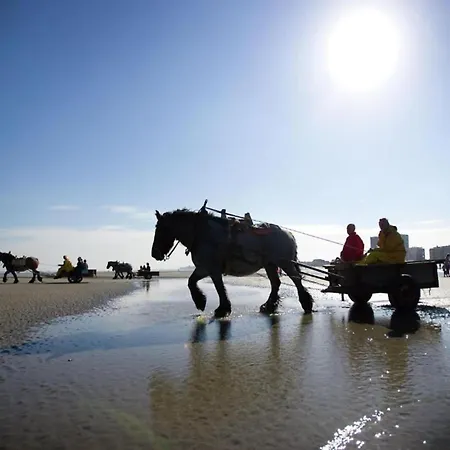 In Near The Διαμέρισμα *