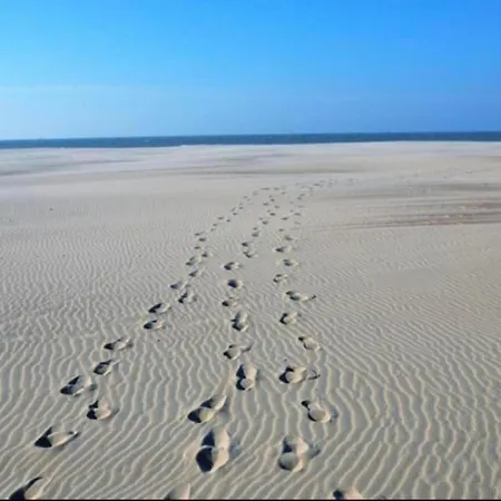 In Near The Διαμέρισμα Nieuwpoort