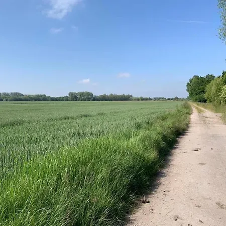 شقة In Near The نيوبورت