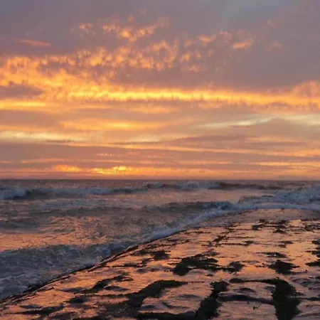 In Near The شقة *